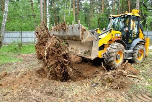 Удаление пней и корчевание вручную и со спецтехникой стоимость услуг и где заказать - Нижний Новгород