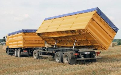 Услуги зерновозов для перевозки зерна - Заволжье, цены, предложения специалистов